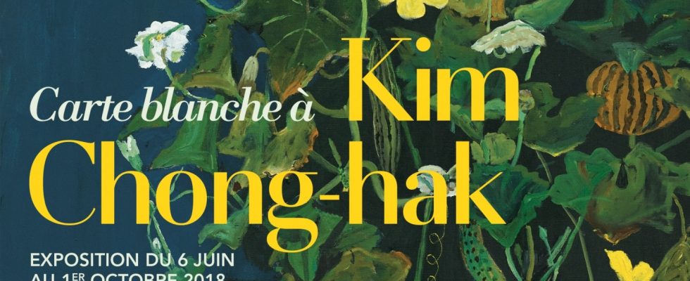 Affiche de l'exposition Carte blanche à Kim Chong-hak – Musée National d'Arts Asiatiques – Guimet (MNAAG) - Paris 2018