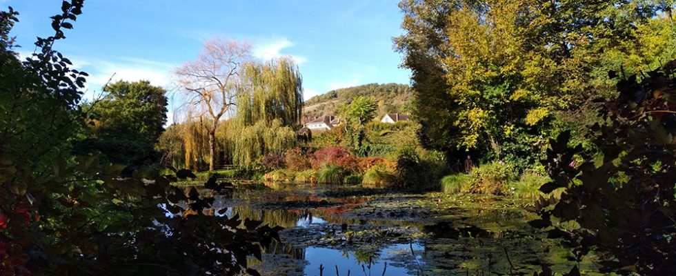 Le jardin au fil des saisons — Musée Giverny